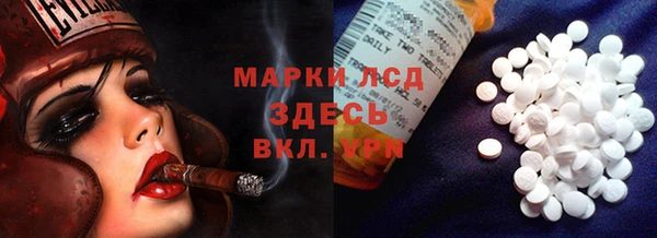 мдпв Магас