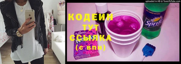 мдпв Магас