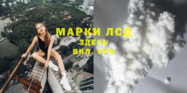 мдпв Магас