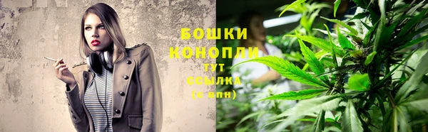 СК Липки