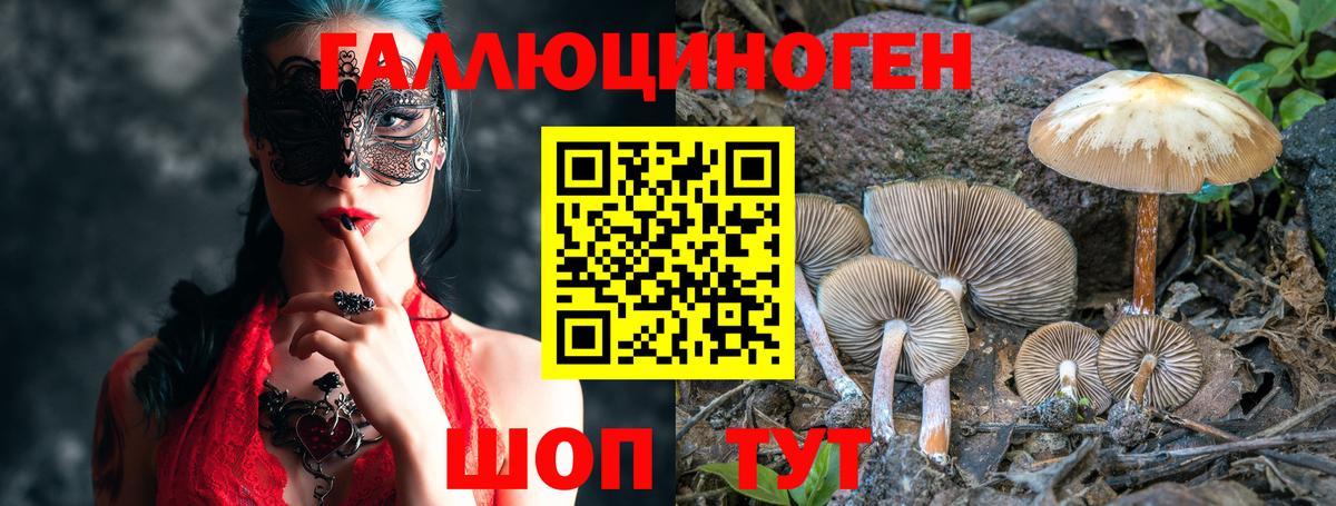 Псилоцибиновые грибы ЛСД Курганинск