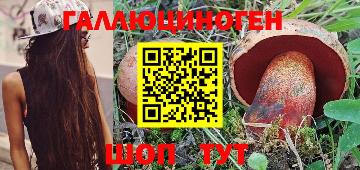 Галлюциногенные грибы Psilocybine cubensis  Курганинск  Псилоцибиновые грибы Magic Shrooms 