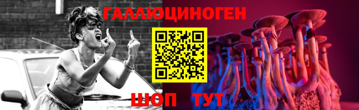 Галлюциногенные грибы MAGIC MUSHROOMS  Псилоцибиновые грибы мухоморы  Курганинск  Вход с VPN 